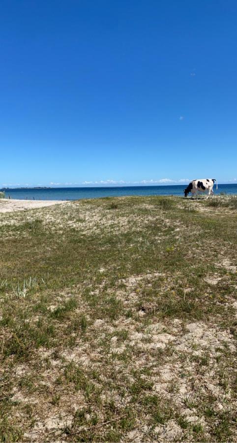Bo I Egen Stuga Pa Haerlig Oelandsgard Köpingsvik エクステリア 写真