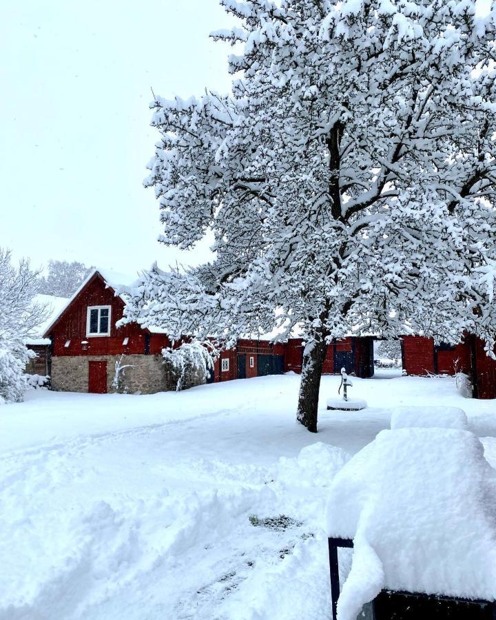 Bo I Egen Stuga Pa Haerlig Oelandsgard Köpingsvik エクステリア 写真